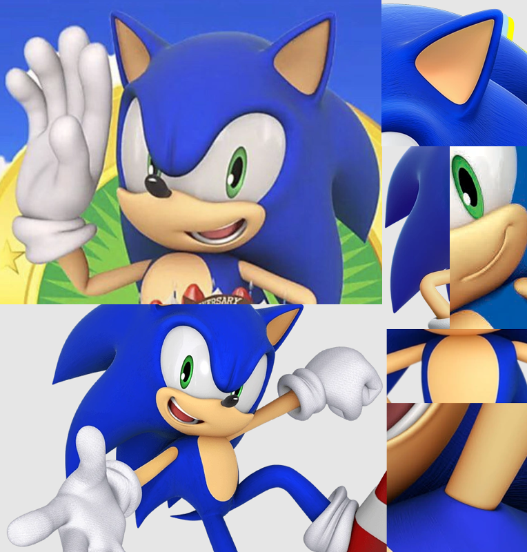 Sonic's model