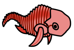 Spine Fish