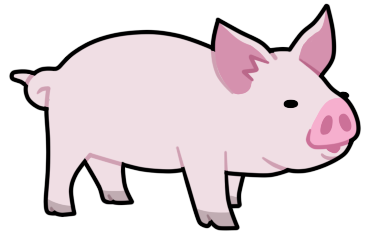 Pig